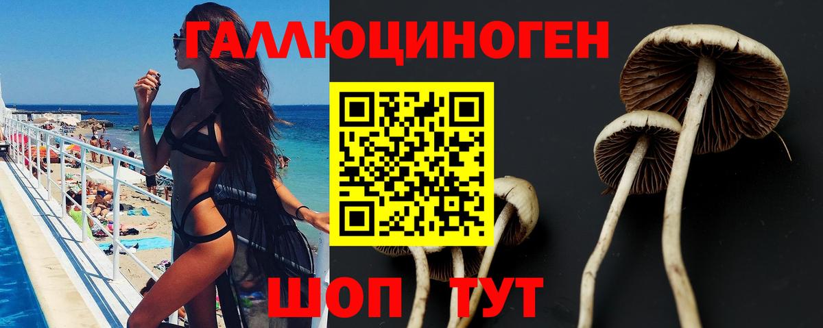 Псилоцибиновые грибы GOLDEN TEACHER  Галлюциногенные грибы мухоморы  Вход с VPN  Домодедово 