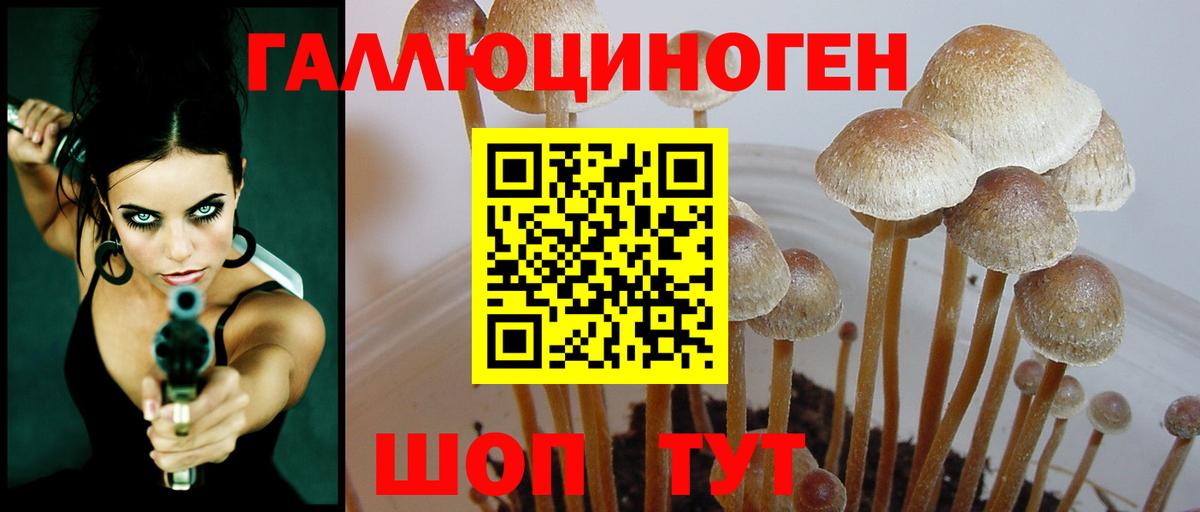 Псилоцибиновые грибы мицелий Домодедово